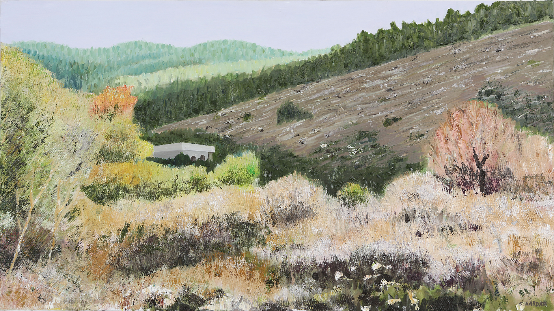301. שמן על בד 100x56 ס"מ